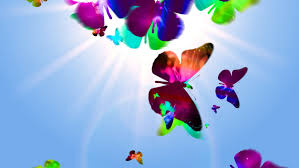 Hd wallpapers and background images Seamless Butterfly Loop Background Stock Footage Video 100 Royalty Free 721819 Shutterstock