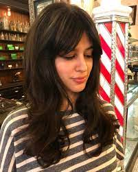 Polish Curtain Bangs Shag Hair Styles Long Hair Styles Vintage Hairstyles