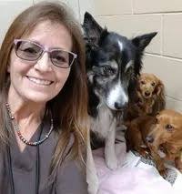 Veterinary Services in Denver, Co