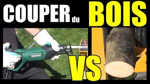 Couper Arbres Branches Bois Scie Sabre Parkside Pfs 710 B1 Youtube