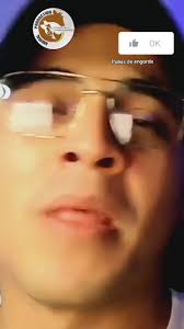 Porque Escuchar Ruido De Pollo