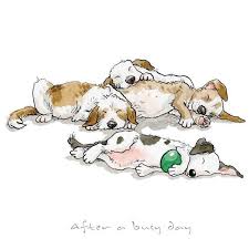 Cats And Dogs En 2020 Dibujos De Perros Arte Sobre Perros Dibujo De Perro