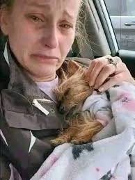 You are really Dr Chris Brown fans sey yes. 💞💞💞💞💞