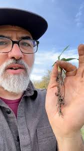 Introduction to Beekeeping" is now a 4-week class that you can take fully  online! June 17