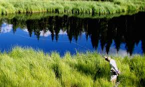 Near zion national park there are two distinct fly fishing options; Bryce Canyon National Park Fly Fishing Guides