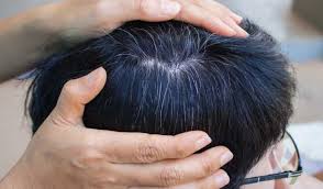 Soak henna in an iron pot overnight and make a deep conditioning hair mask by combining iron powder, amla powder and other herbs useful in treating premature greying of hair. Should You Worry If Your Child Has Grey Hair