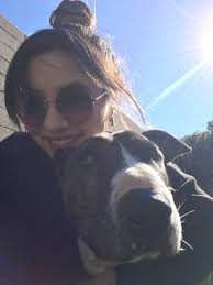 Grief and support for loss of a beloved pet