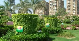 Outdoor Ad Lipton Garden Variety Gartenkunst Garten Pflanzen