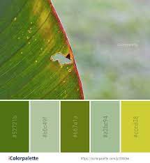 Pin On Leaf Color Palettes