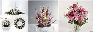 1401 delaware avenue, lexington, ky 40505 map · phone number. The 8 Best Options For Flower Delivery In Lexington Kentucky 2021