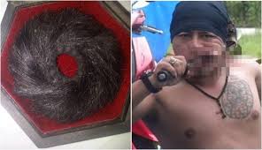 Skripsi diajukan guna memenuhi salah satu syarat. Mustika Rantai Babi Benda Yang Konon Bisa Meningkatkan Karisma Dan Keilmuwan Seseorang Boombastis