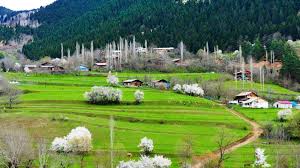 Savsat / ardahan karayolu üzeri 2.km, savsat, artvin. Artvin In Sakin Sehri Savsat Ta Ilkbahar Bir Baska Guzel Ntv