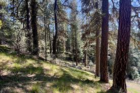 27 Lewis Dr, Lowman, ID 83637