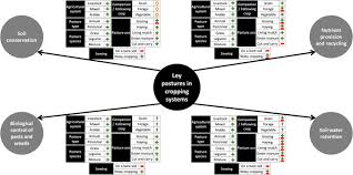 Clark pest control salaries by job title. Role Of Ley Pastures In Tomorrow S Cropping Systems A Review Springerlink