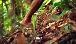 Etre la voix off de cette émission représente également un certain défi. Retour A L Instinct Primaire Des Candidats Nus En Pleine Jungle Pour La Saison 2 Sur Orange Videos