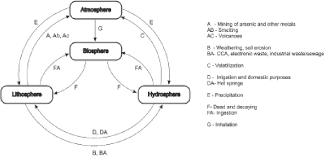 Pdf Source Distribution Toxicity And Remediation Of Arsenic In The Environment A Review Semantic Scholar