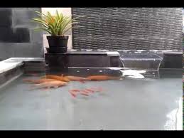 Taman Kolam Ikan Minimalis Batu Alam Youtube Kolam Ikan Minimalis Kolam