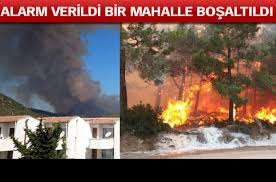 Tedbir amacıyla 50 evde boşaltıldı. Mersin De Orman Yangini Son Dakika Haberleri