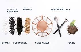 How are cacti adapted to the desert? How To Make A Terrarium In 5 Easy Steps Proflowers