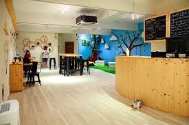 It was mentioned that sometime in 2020 they're will be a cat cafe built on their lanai. Purradise Cat Cafe Taman Tun Dr Ismail Kl