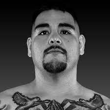 So, how much is andy ruiz jr net worth? Andy Ruiz Jr Next Fight Fighter Bio Stats News