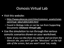 This is a virtual cell homeostasis (osmosis. Today Is Friday October 11th Ppt Download