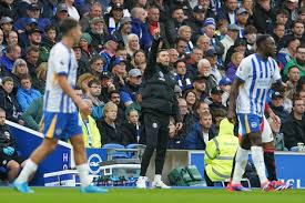 Brighton vs. Wolves: Seagulls Aim for European Spot