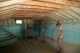 Image result for inground food storage