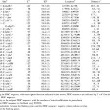 Pdf Enterobacterial Repetitive Intergenic Consensus Eric Sequences In Escherichia Coli Evolution And Implications For Eric Pcr