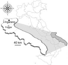 The available positions are assigned through a competitive selection procedure. Location Of The Paleontological Site Of Ingarano Foggia South Italy Download Scientific Diagram