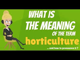 What Is Horticulture What Does Horticulture Mean Horticulture Meaning Explanation Youtube