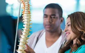 The trunk line has multiple fiber optic cables combined together to increase the capacity. The Anatomy Of The Thoracic Spine