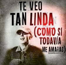 Solari was the leader of patricio rey y sus redonditos de ricota between 1976 and 2001. 58 Ideas De Frases Del Indio Frases De Rock Frases De Los Redondos Frases