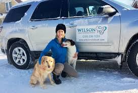 Our mobile veterinary clinic comes to you and your pet, providing comfort for your pet and convenience for you. Meet Our Team Wilson Mobile Vet