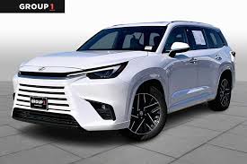 Image result for Wind Chill 2025 TX