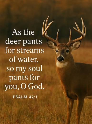 Psalm 42:1 — “As the deer pants for streams of water, so my soul pants for  you, O God.” — perfectly tying the beauty of nature to a message of  spiritual longing and devotion.