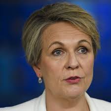 Tanya Plibersek apologises 'unreservedly' for comparing Peter Dutton to  Voldemort