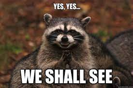 Yes Yes We Shall See Evil Plotting Raccoon Quickmeme