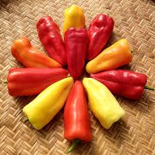 Check spelling or type a new query. Sweet Pepper Gypsy Queens Organic Adaptive Seeds