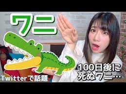 手遊び ワニくん100日間ありがとう ワニの家族 youtube 手遊び 保育 手遊び ワニ