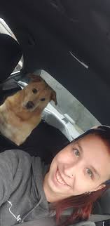 Converting a car into a mobile home for cancer patient care and dog travel