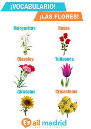 Ail Madrid Spanish Language Learning Spanish Learn Spanish Online