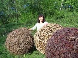 Willow Angela Morley Garden Design Clematis Garden Design Garden Crafts