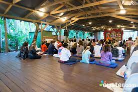 Check spelling or type a new query. Sivananda Ashram Yoga Retreat Review What To Really Expect If You Stay
