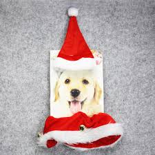Maybe you would like to learn more about one of these? Pet Dog Christmas Hat Collar Outfit Set Christmas Decor