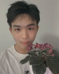 Hold 藍天堂喜蔭Episcia 'Blue Heaven ￼$50/ A、B￼ A有花蕾燶葉走莖、B有花蕾走莖何文田站客務中心交收|  Facebook