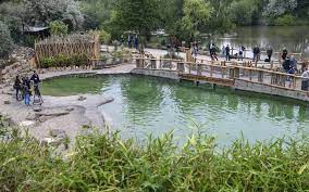 Die zoom erlebniswelt in gelsenkirchen ist ein ganz besonderer zoo. Pinguine Bootssafari In Der Zoom Erlebniswelt Gelsenkirchen Radio Essen