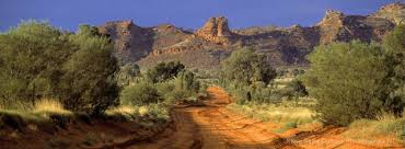 Honorary Life Fellow Award