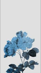 Free and customizable floral desktop wallpaper templates canva. Blue Aesthetic Flower Wallpapers Top Free Blue Aesthetic Flower Backgrounds Wallpaperaccess
