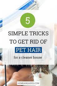 Removing Pet Hair From Air Cat Dog Tips Home Air Guides Pet Hair Removal Pet Hair Pets